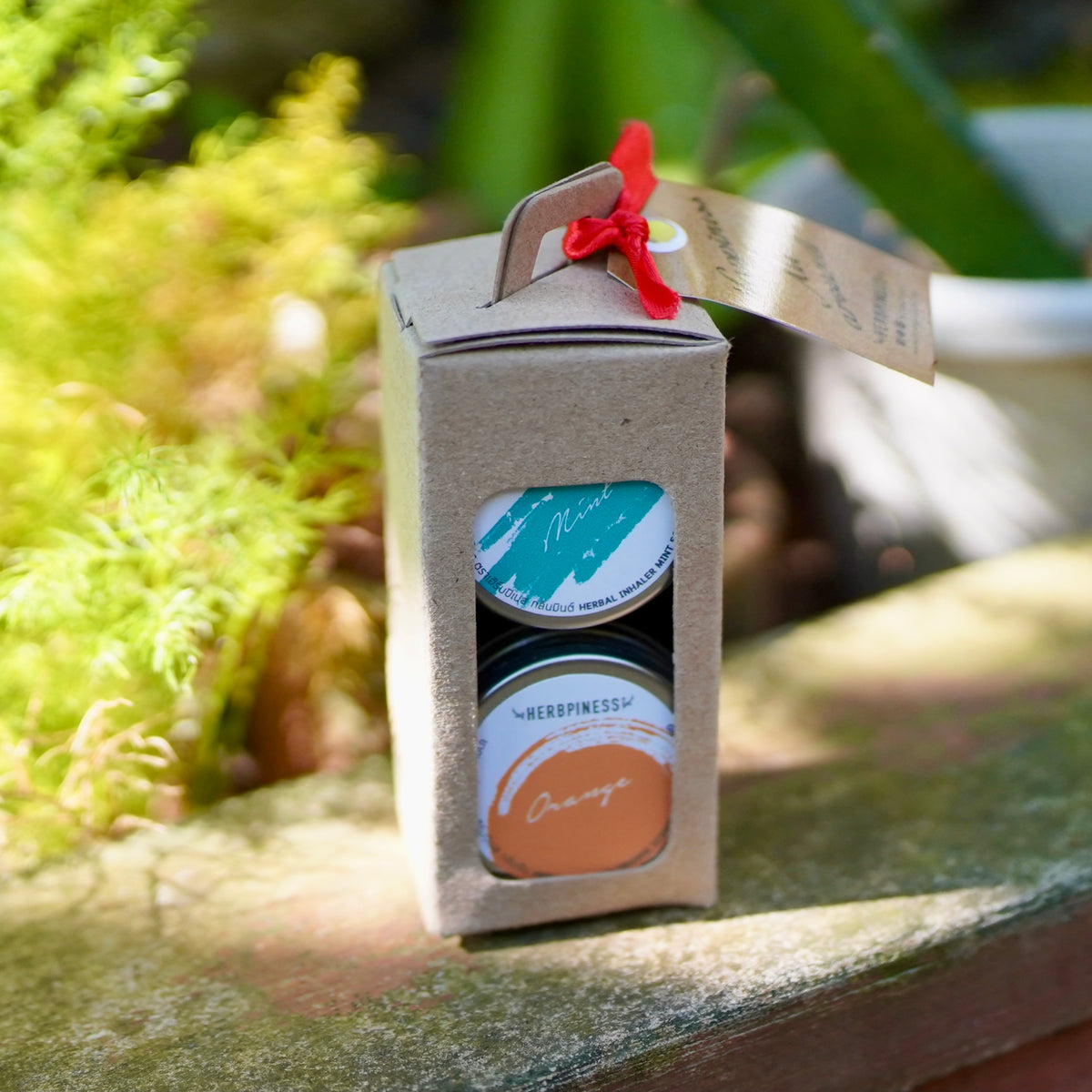 PACK SET : 2 Inhalers – Herbpiness